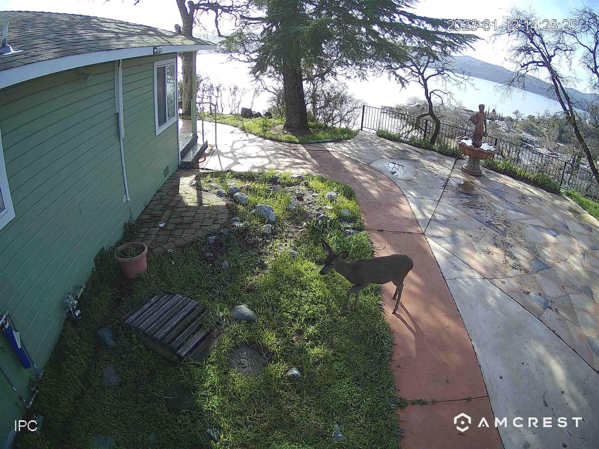 A Lake, A Mountain And The House With The Red Door Clearlake Bagian luar foto